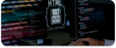 Development of Custom Modules and Plugins